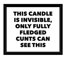 Load image into Gallery viewer, Explicit Candles - &quot;This Candle Is invisible...”